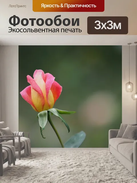 Фотообои Цветок