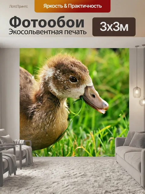 Фотообои Нил гусь