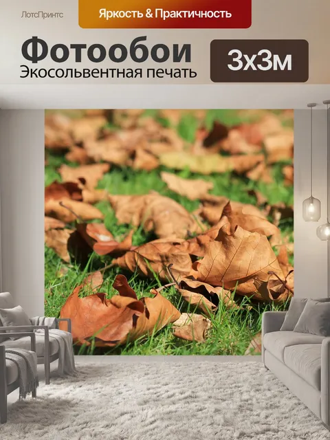 Фотообои Падение