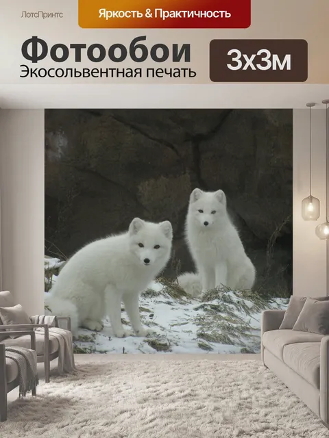 Фотообои Арктический