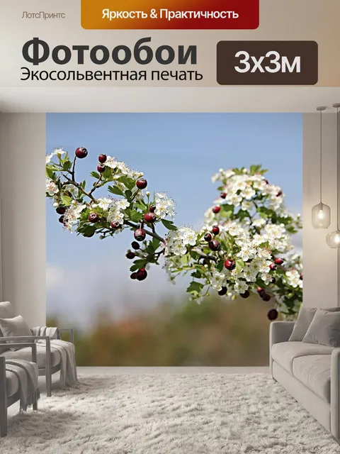 Фотообои Цветы