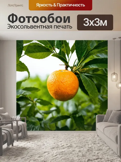 Фотообои апельсин, окруженный зелеными листьями
