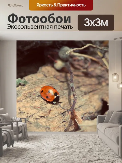 Фотообои Божья коровка