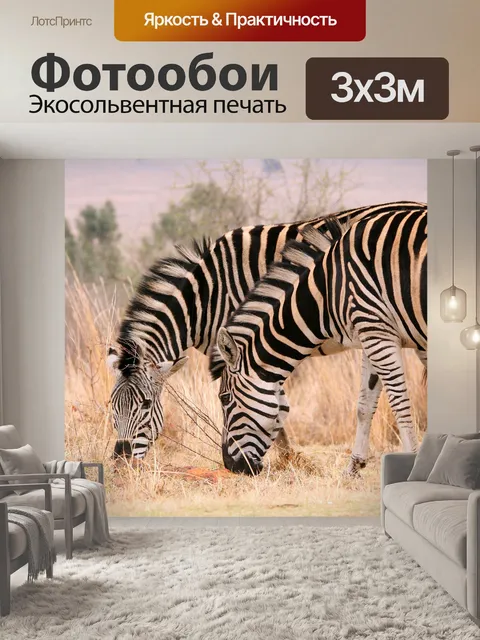 Фотообои Два зебры пасутся