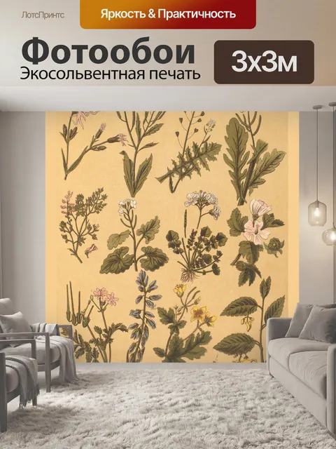 Фотообои Коллаж старинных ботанических растений