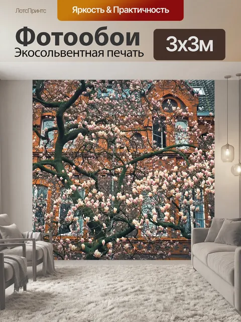 Фотообои Магнолии