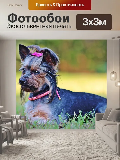 Фотообои Салон красоты