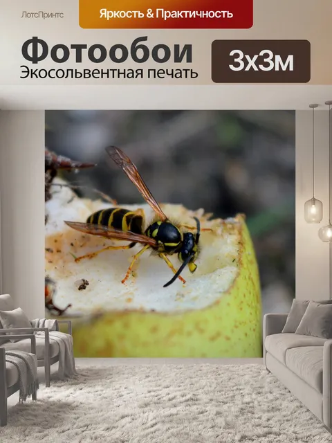 Фотообои Оса