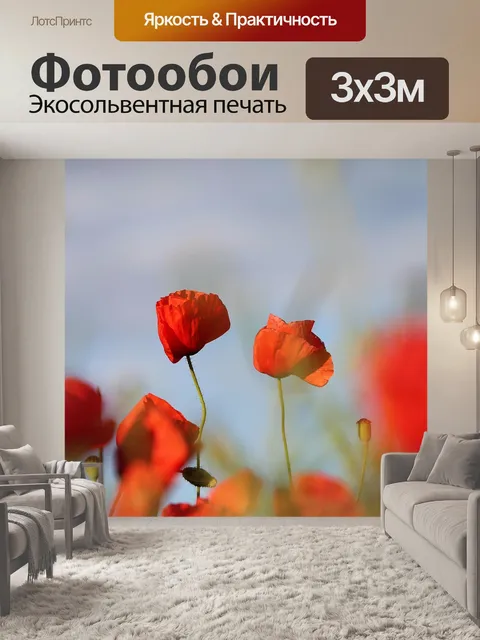 Фотообои Красные маки на ветру