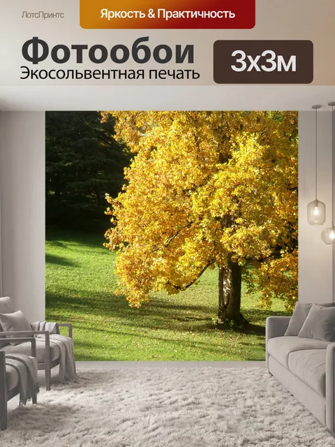 Фотообои Парк