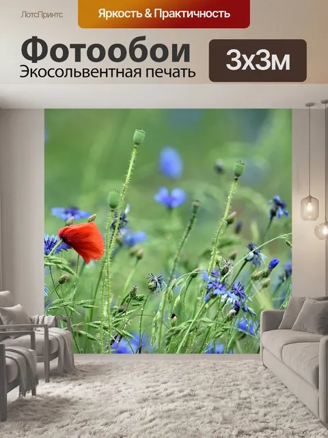 Фотообои Мак