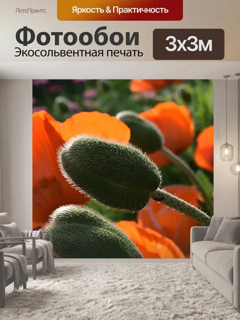 Фотообои Мак
