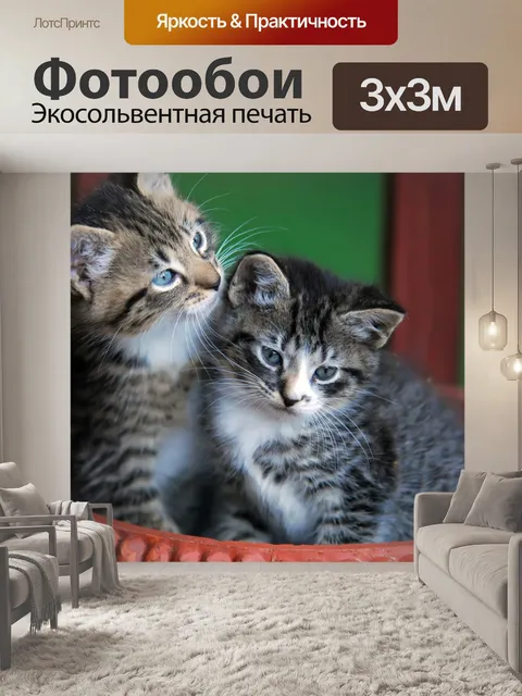 Фотообои Симпатичные котята в корзине
