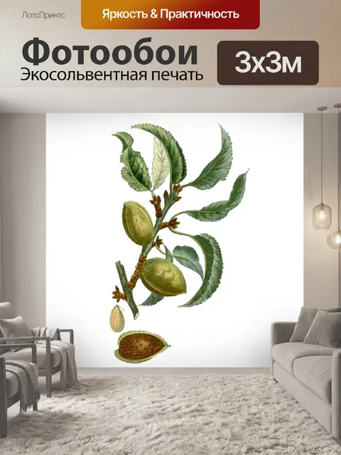 Фотообои Миндальное винтажное ботаническое искусс