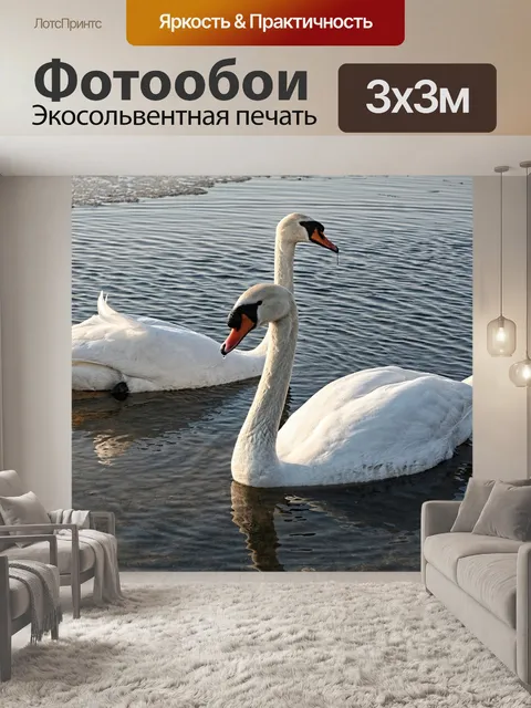 Фотообои Лебеди