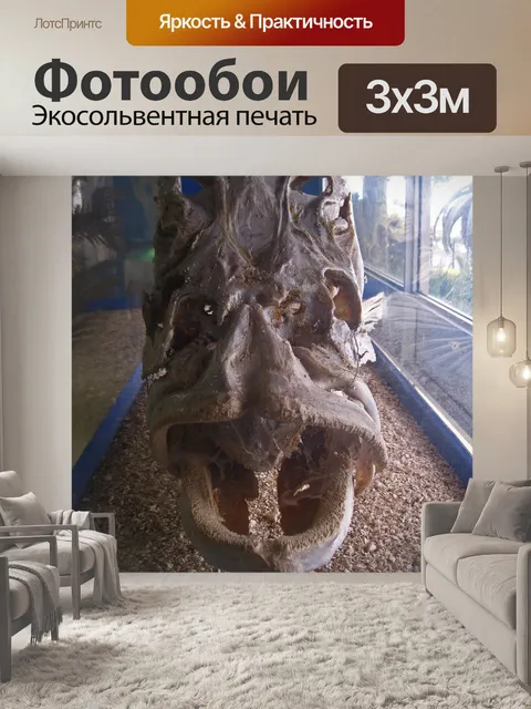 Фотообои череп тигрового окуня