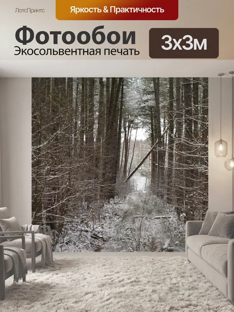 Фотообои Зима