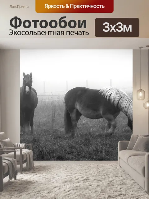 Фотообои Лошади