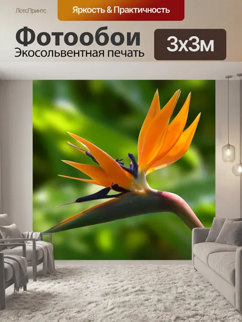 Фотообои Цветок
