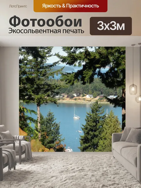 Фотообои Из сосен и залив