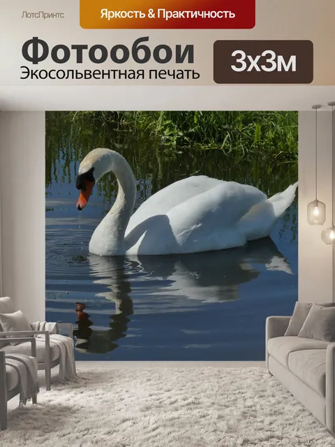 Фотообои Лебедь