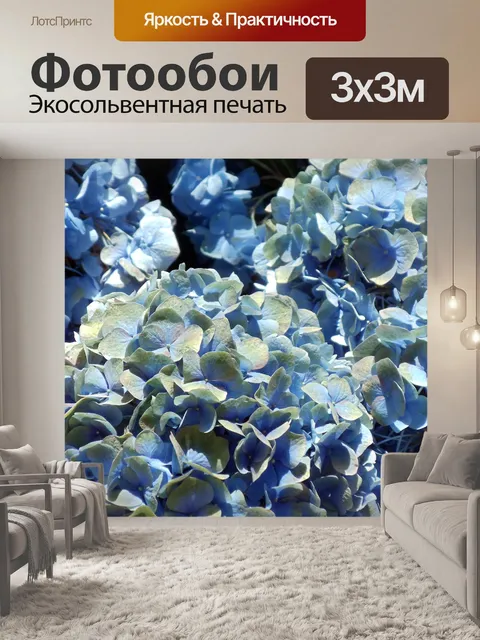 Фотообои синяя гортензия цветы
