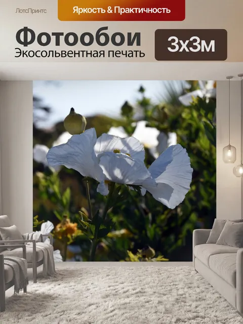 Фотообои Матилия Маки