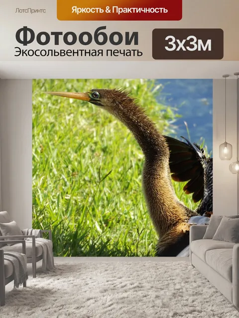 Фотообои Птицы