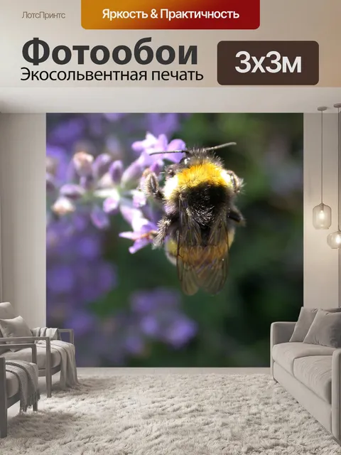 Фотообои Шмель на работе