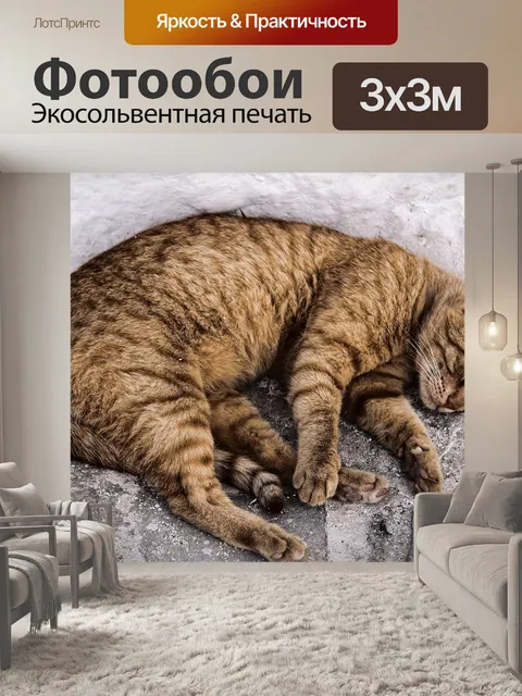 Фотообои Домашнее животное