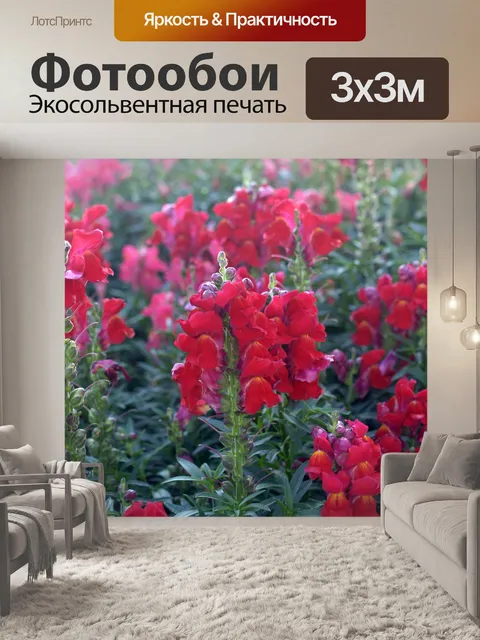 Фотообои Цветник на горе Дои Интанон