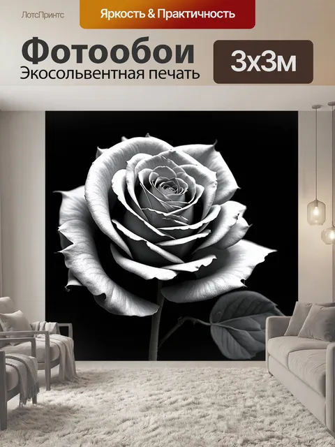 Фотообои розы в стиле нуар, с тонкими линиями и тонкими переходами, создающими утончённый вид