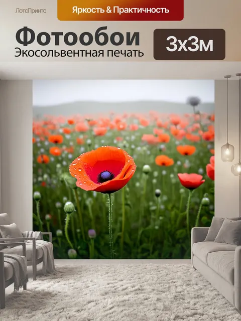 Фотообои с маком в полях, покрытых рассеянным утренним туманом, крупный план с каплями росы на лепестках