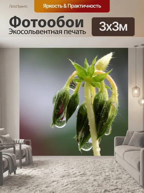 Фотообои Капля дождя