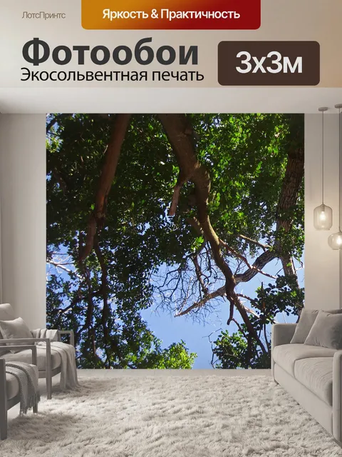 Фотообои солнечный свет на тяжелых ветвях