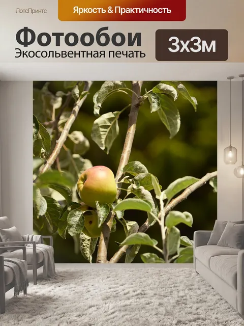 Фотообои Apple на ветке