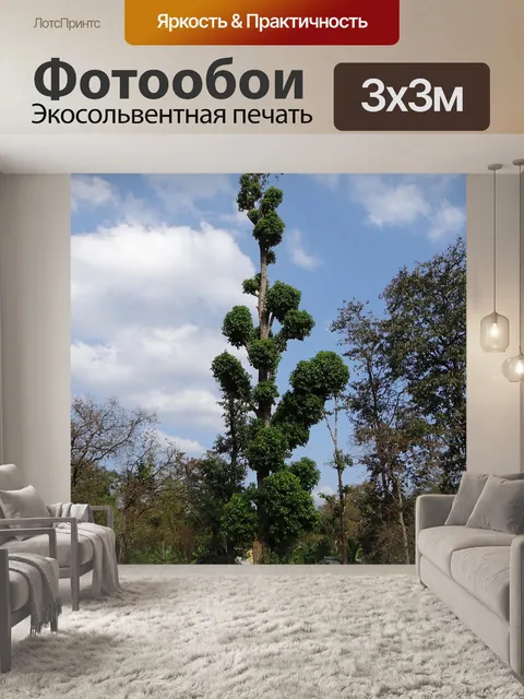 Фотообои Terminalia