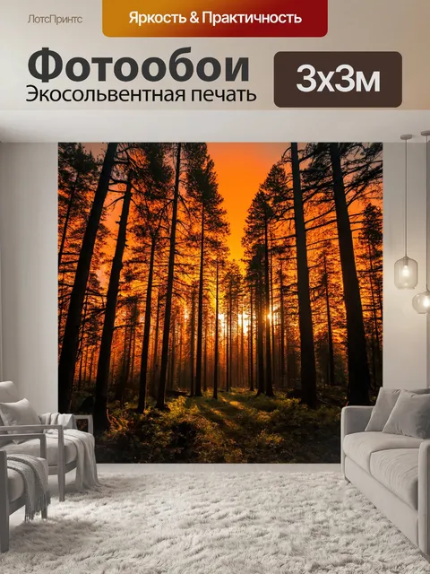Фотообои лес с запоминающимся оранжевым небом на фоне леса