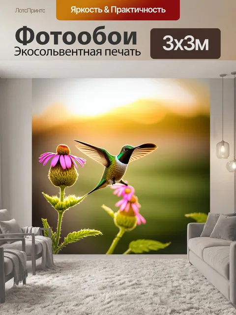 Фотообои зеленый колибри балансирует на краю цветка в утреннем свете, на фоне размытого ландшафта