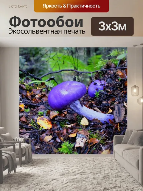 Фотообои Гриб