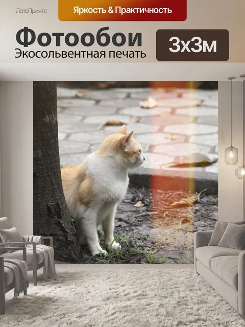Фотообои Кошка