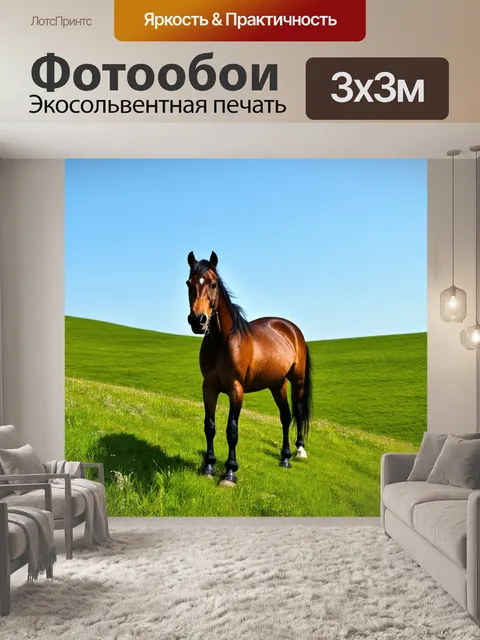 Фотообои конь, стоящий на зеленом холме, с видом на далёкие поля