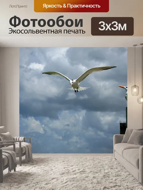 Фотообои Чайка