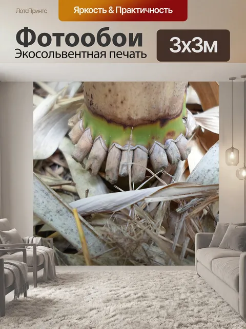Фотообои Бамбуковый коричневый соломенный