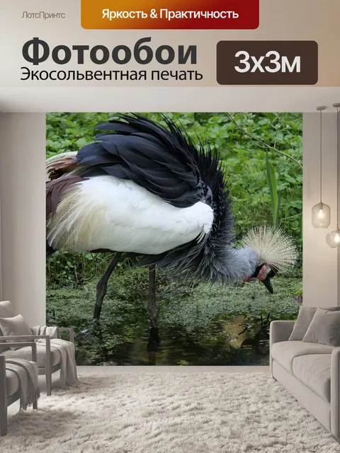 Фотообои Серый шеи королевский журавль