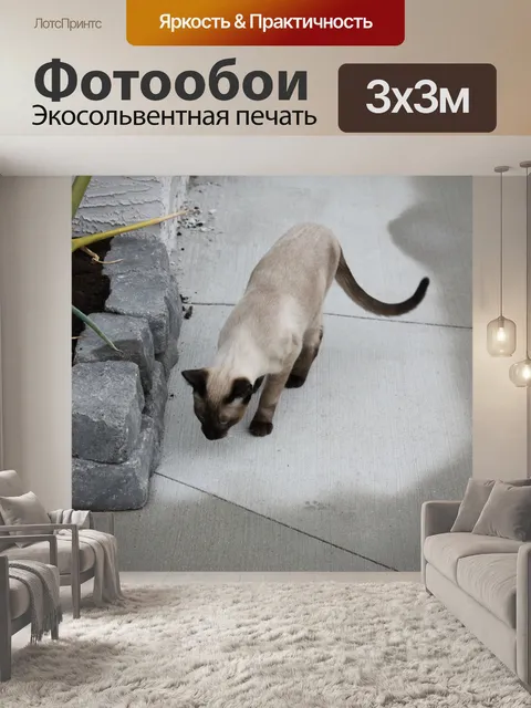 Фотообои Китти Магия