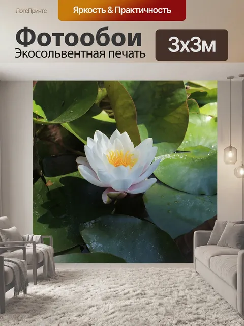 Фотообои Ботаник