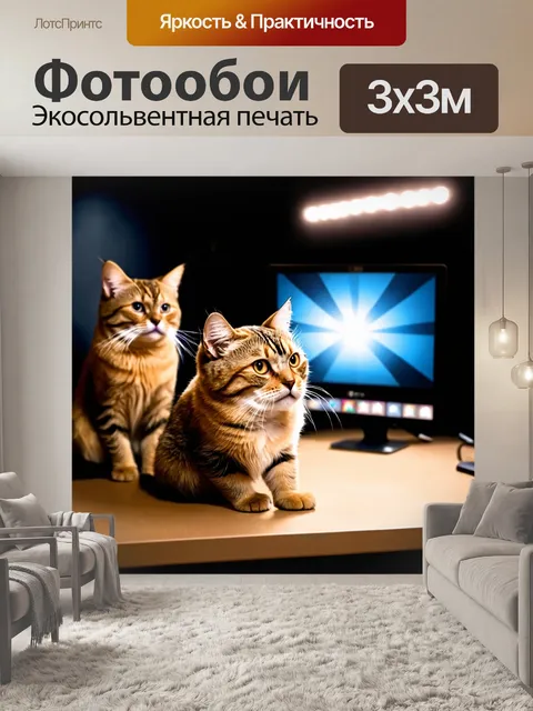 Фотообои кошки, монтирующие фильм в киностудии