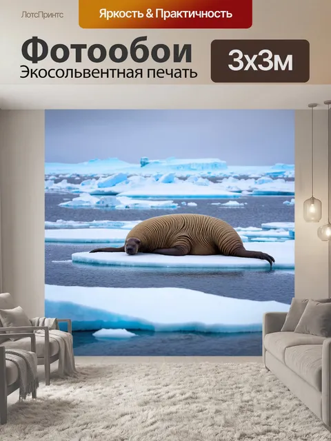 Фотообои охота на берегу ледяного океана, где моржи отдыхают на льдиках среди небольших ледяных островов