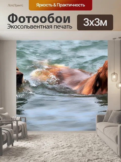 Фотообои Собаки